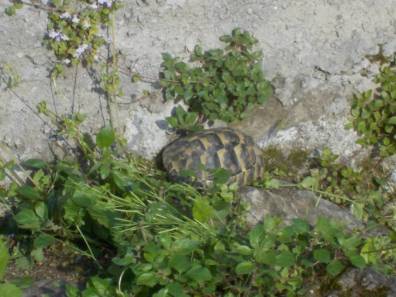 DSCN4840 (FILEminimizer)