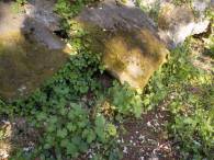 DSCN4841 (FILEminimizer)