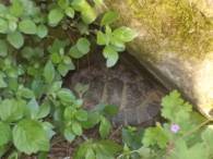 DSCN4842 (FILEminimizer)