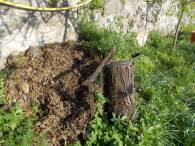 DSCN4843 (FILEminimizer)