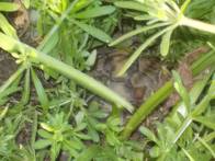 DSCN4845 (FILEminimizer)