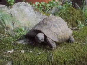 DSCN4922 (FILEminimizer)