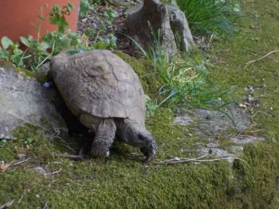 DSCN4924 (FILEminimizer)