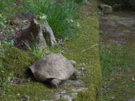 DSCN4927 (FILEminimizer)