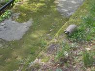 DSCN4928 (FILEminimizer)