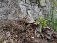 DSCN4940 (FILEminimizer)