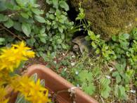 DSCN4941 (FILEminimizer)