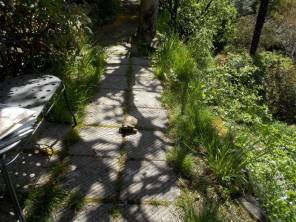 DSCN4947 (FILEminimizer)