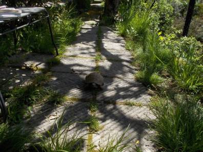 DSCN4948 (FILEminimizer)