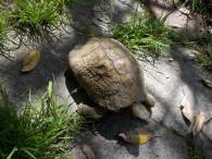 DSCN4951 (FILEminimizer)