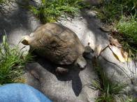 DSCN4952 (FILEminimizer)