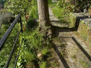 DSCN4972 (FILEminimizer)