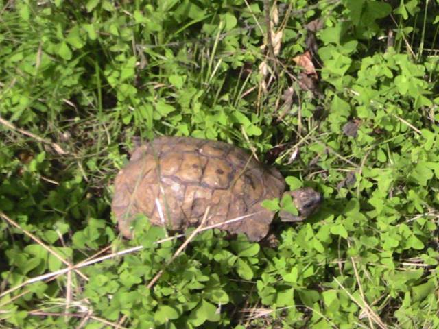 IMG_7252 (FILEminimizer)