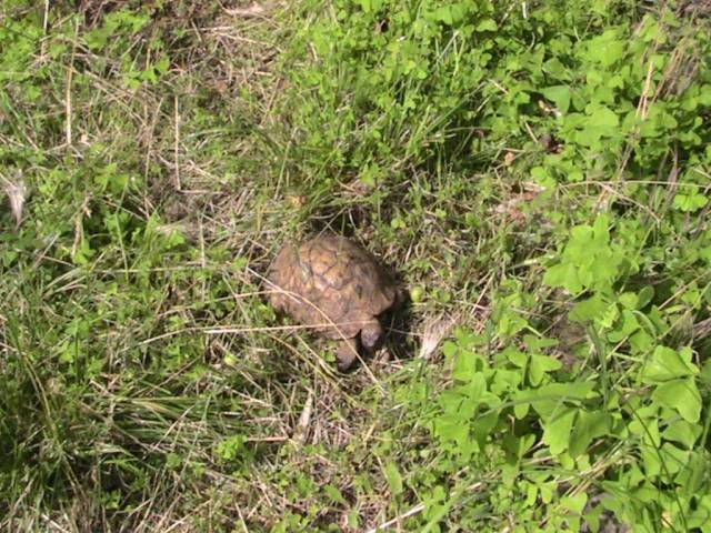 IMG_7253 (FILEminimizer)