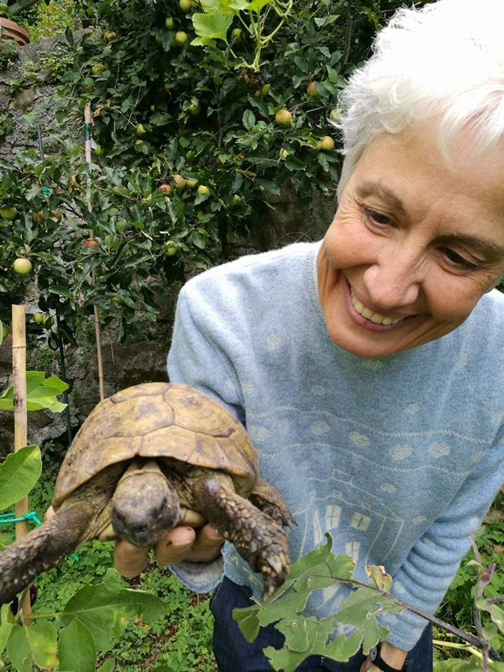 20864341_1420832541332614_2071653153_n