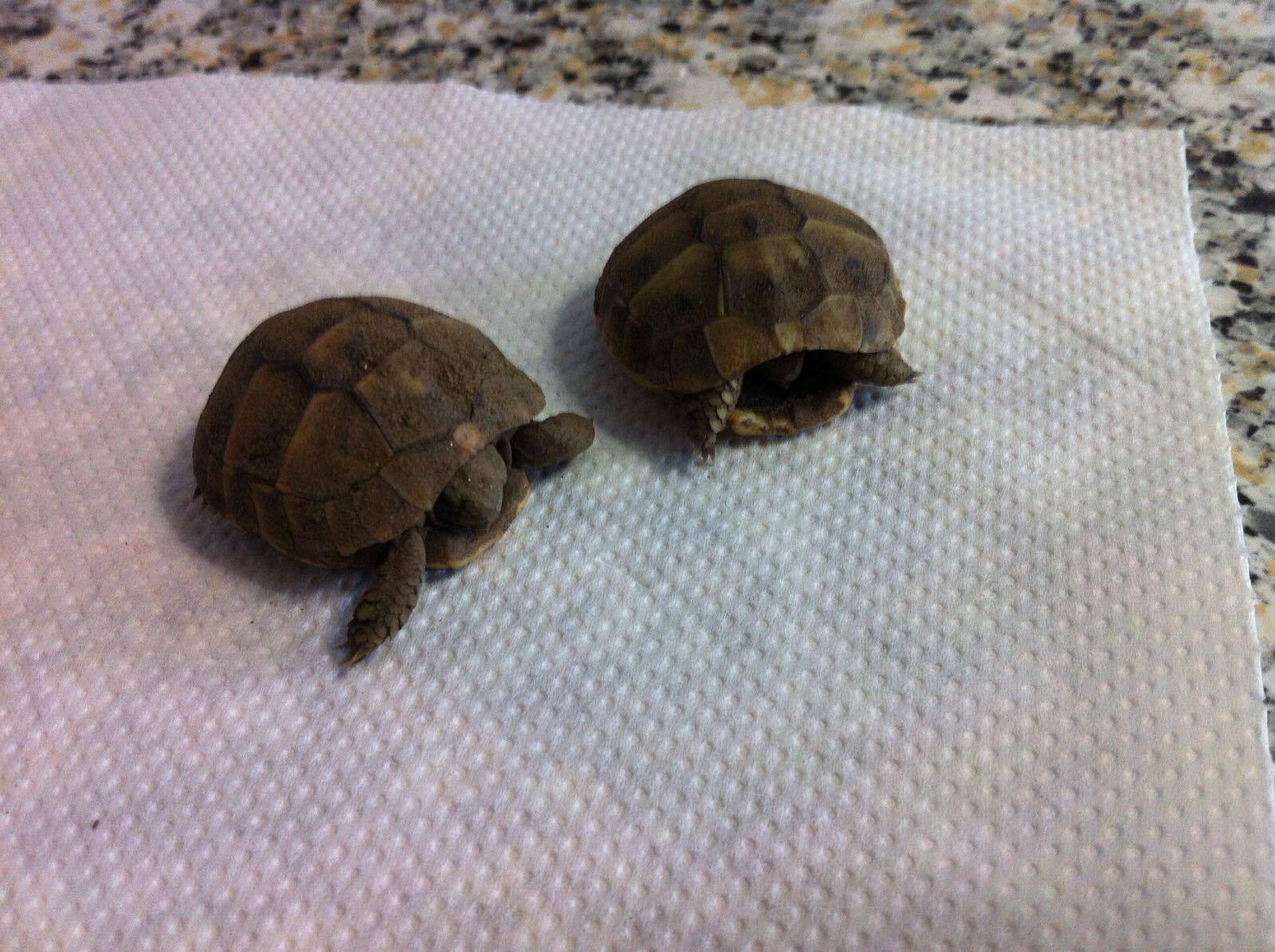 22140562_1569107583112151_1630635022_o