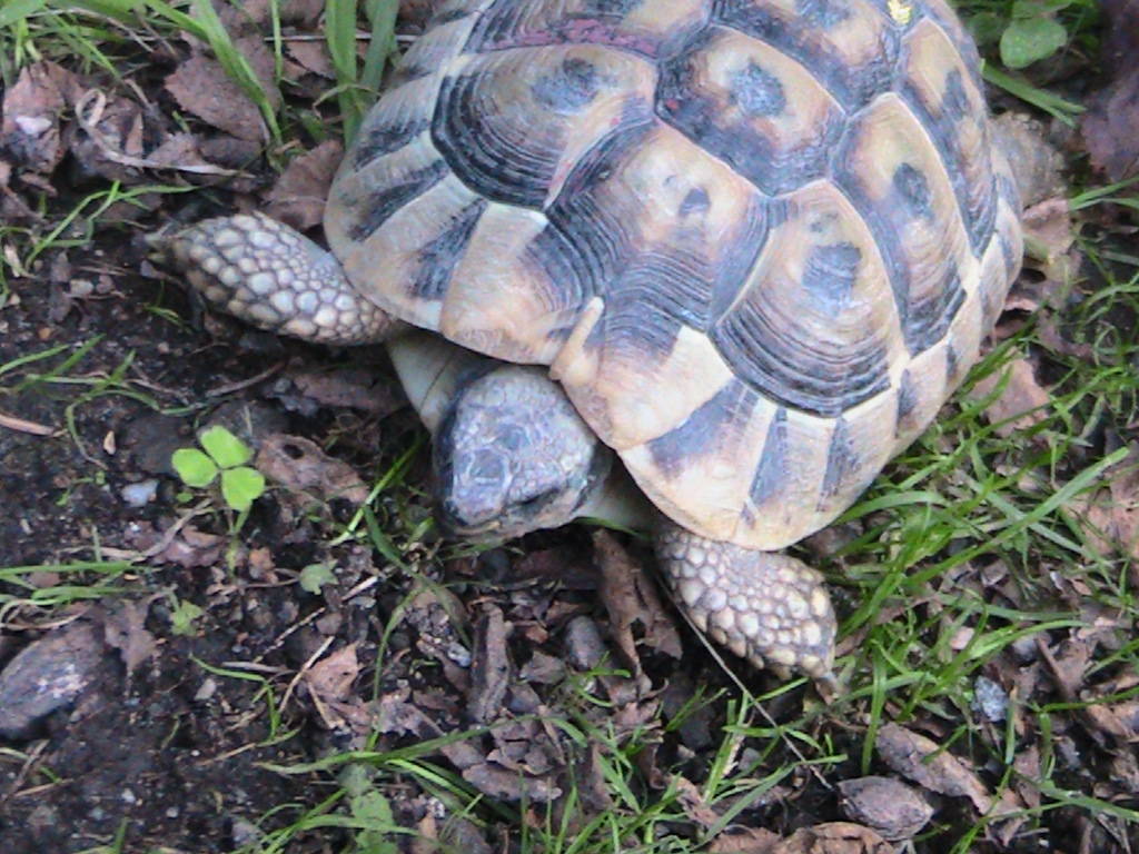 IMG_8371 (FILEminimizer)