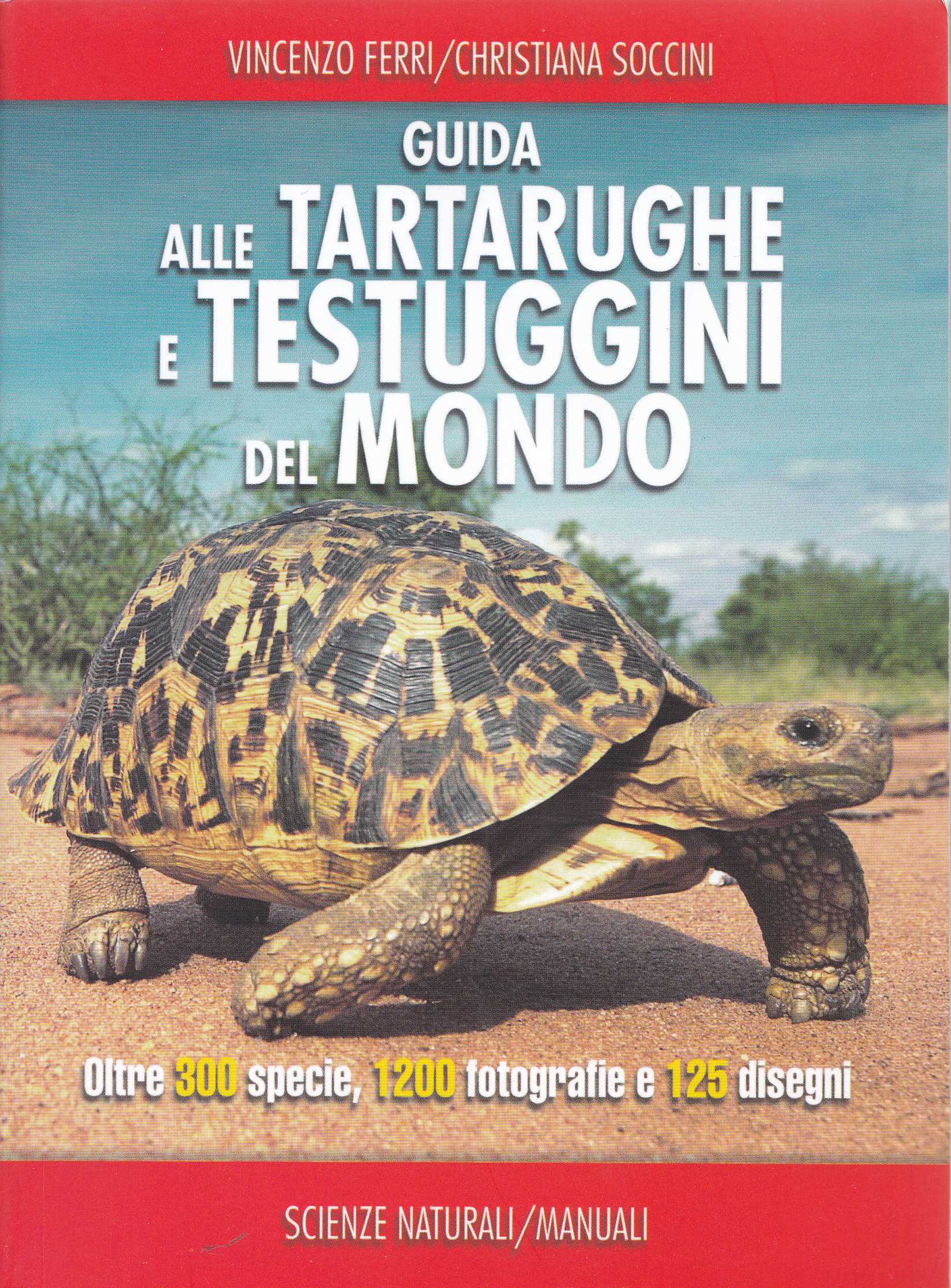 TARTARUGHE FERRI SOCCINI2023