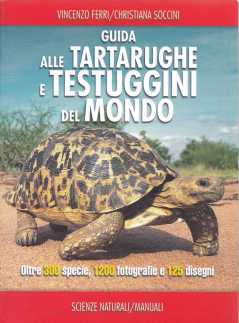 TARTARUGHE FERRI SOCCINI2023