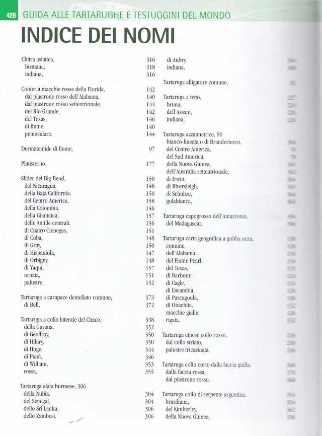 TARTARUGHE FERRI SOCCINI2025