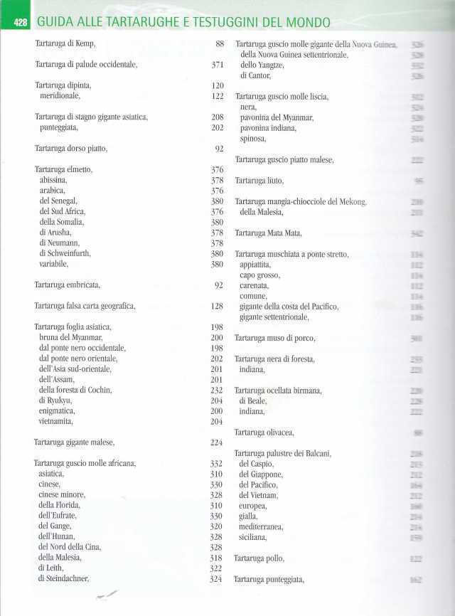 TARTARUGHE FERRI SOCCINI2027