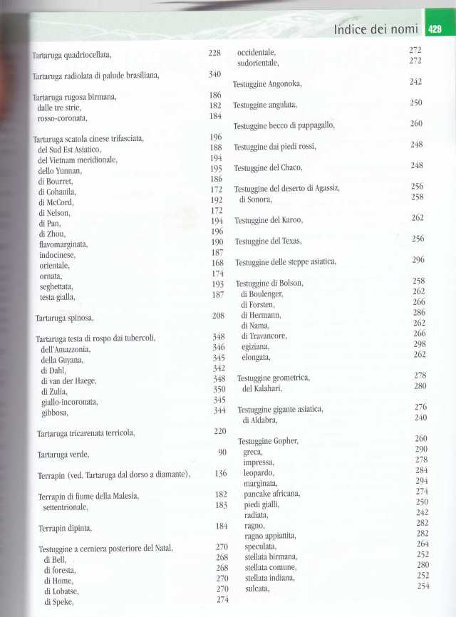 TARTARUGHE FERRI SOCCINI2028