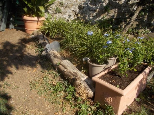 DSCN0985 (FILEminimizer)