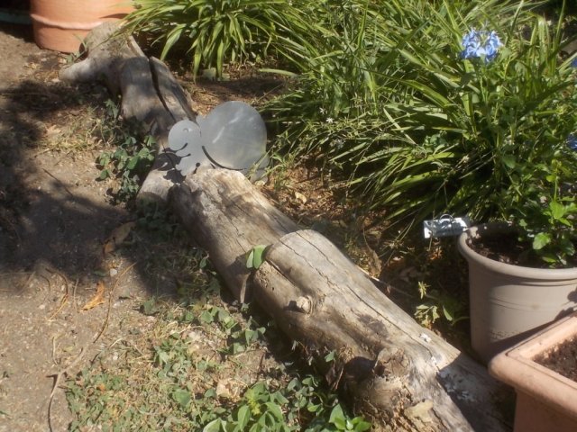 DSCN0986 (FILEminimizer)