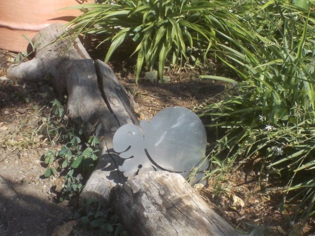 DSCN0987 (FILEminimizer)