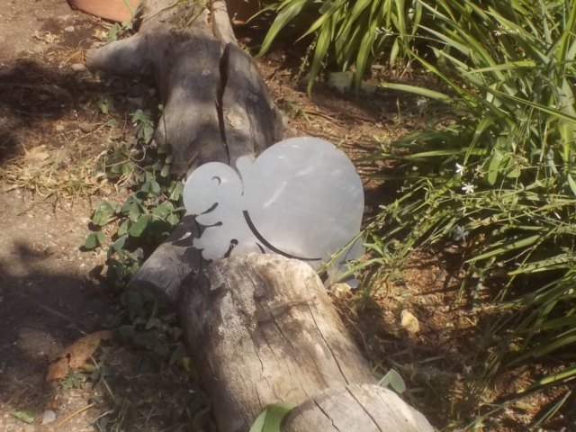 DSCN0988 (FILEminimizer)