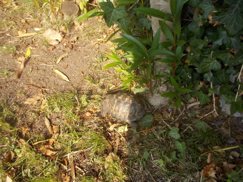 DSCN1150 (FILEminimizer)