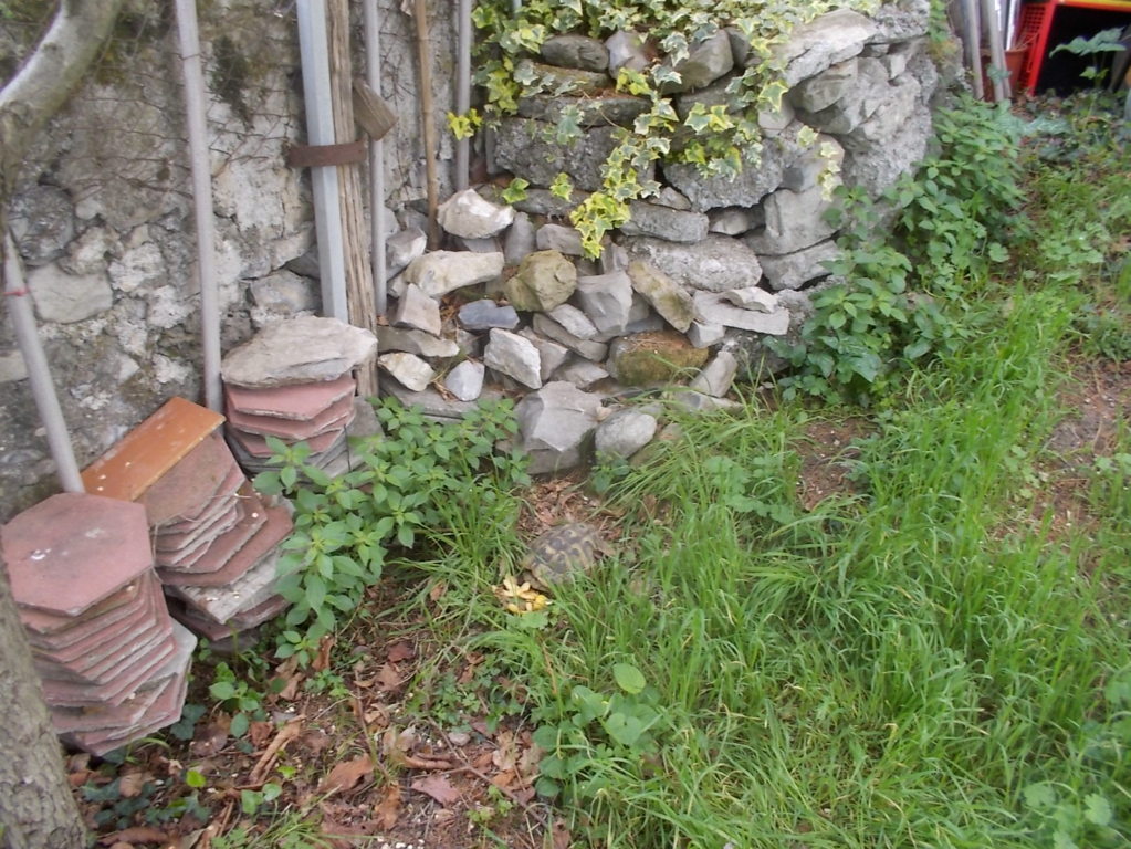 DSCN1637 (FILEminimizer)