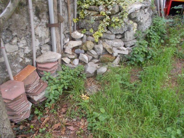 DSCN1637 (FILEminimizer)