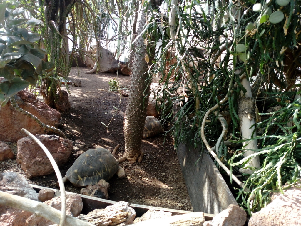 IMG_20190428_160415 (FILEminimizer)