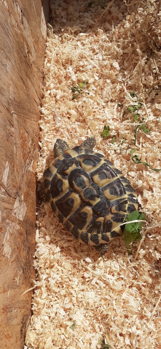 20200313_130733 (FILEminimizer)