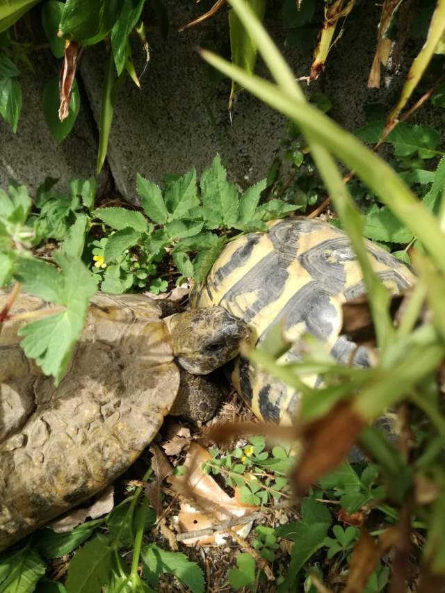 93232548_300739647577376_8851358273371111424_n