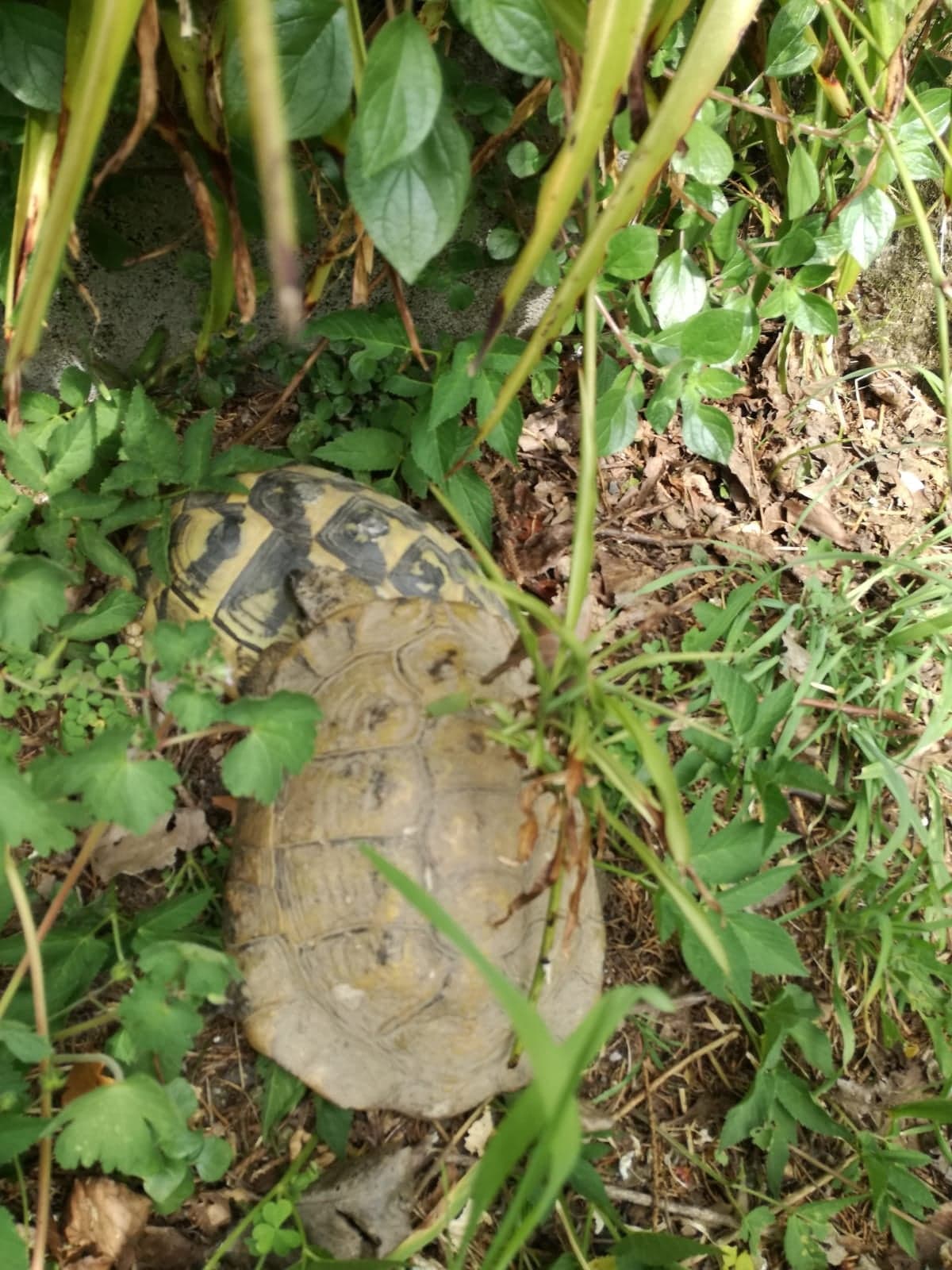 93323697_238373720907729_3045290778193559552_n