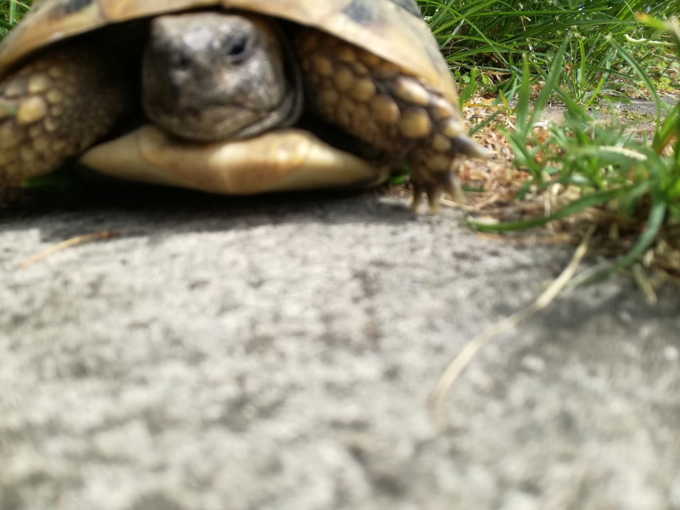 93702685_2788175737896275_5454064920628822016_n