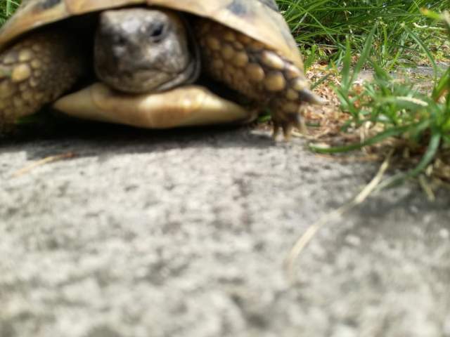 93702685_2788175737896275_5454064920628822016_n