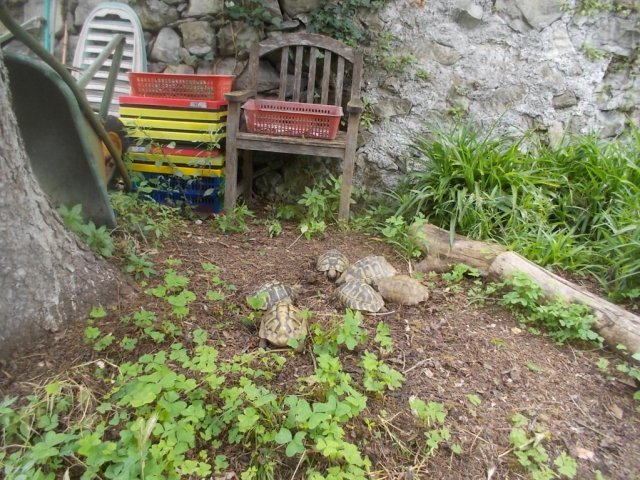 DSCN3516 (FILEminimizer)