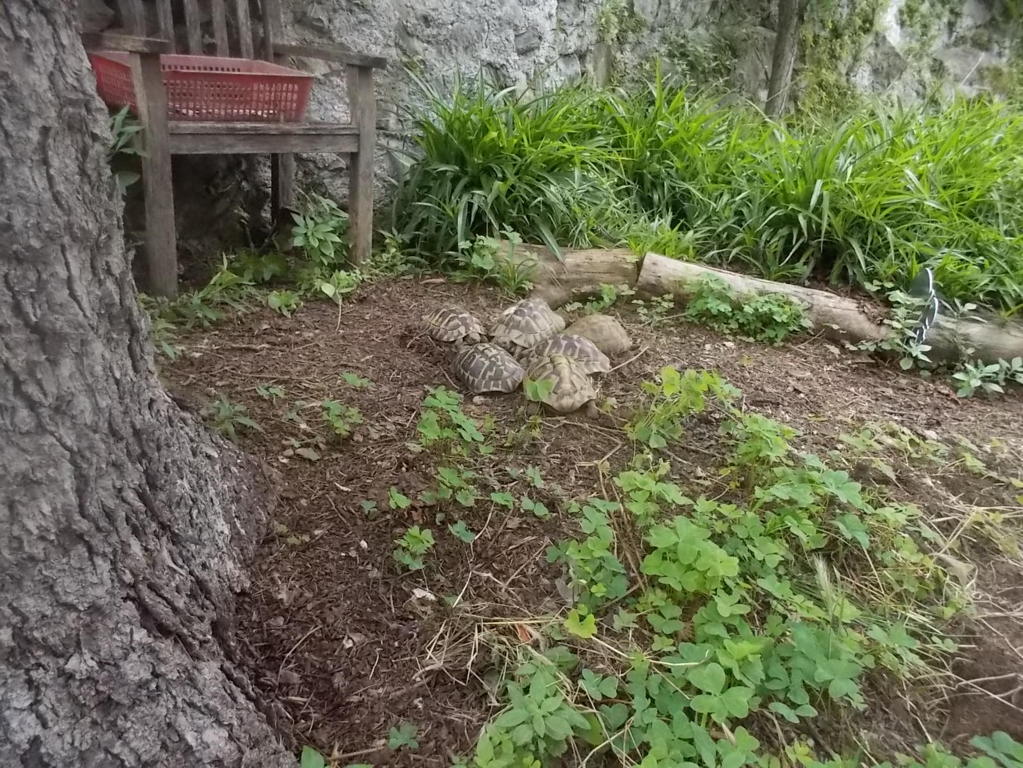 DSCN3521 (FILEminimizer)