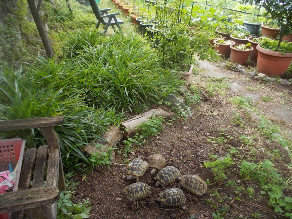 DSCN3523 (FILEminimizer)