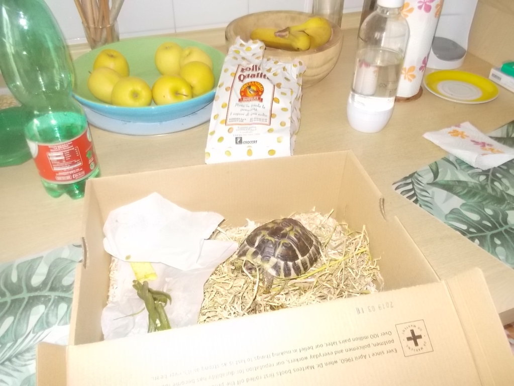 DSCN3541 (FILEminimizer)