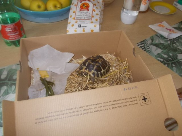 DSCN3542 (FILEminimizer)