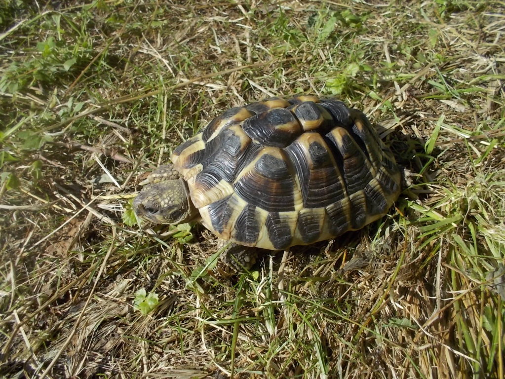 DSCN3571 (FILEminimizer)