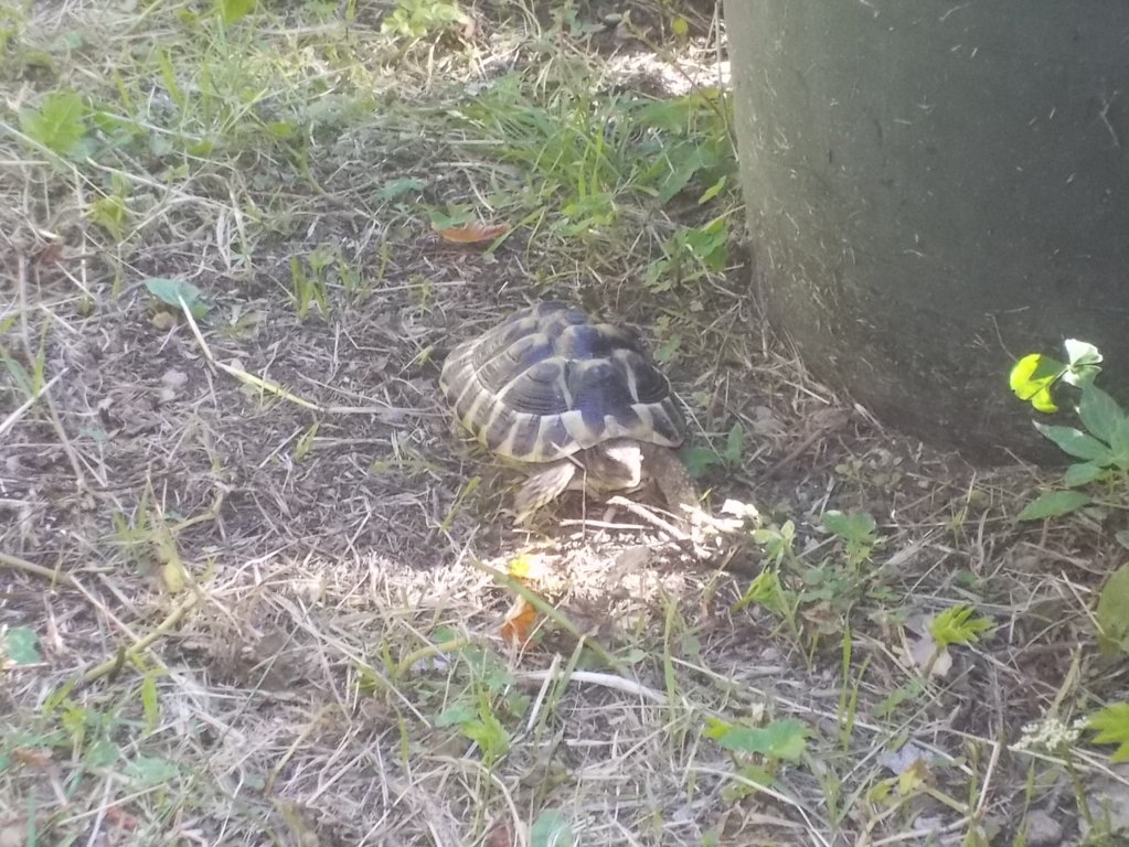 DSCN3575 (FILEminimizer)