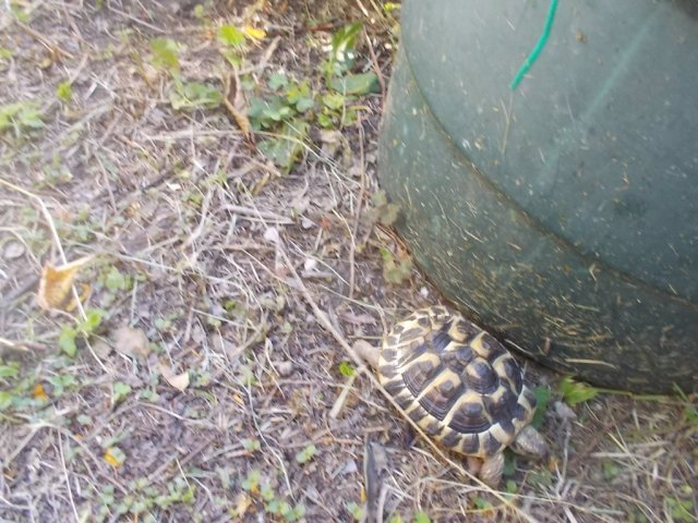 DSCN3577 (FILEminimizer)