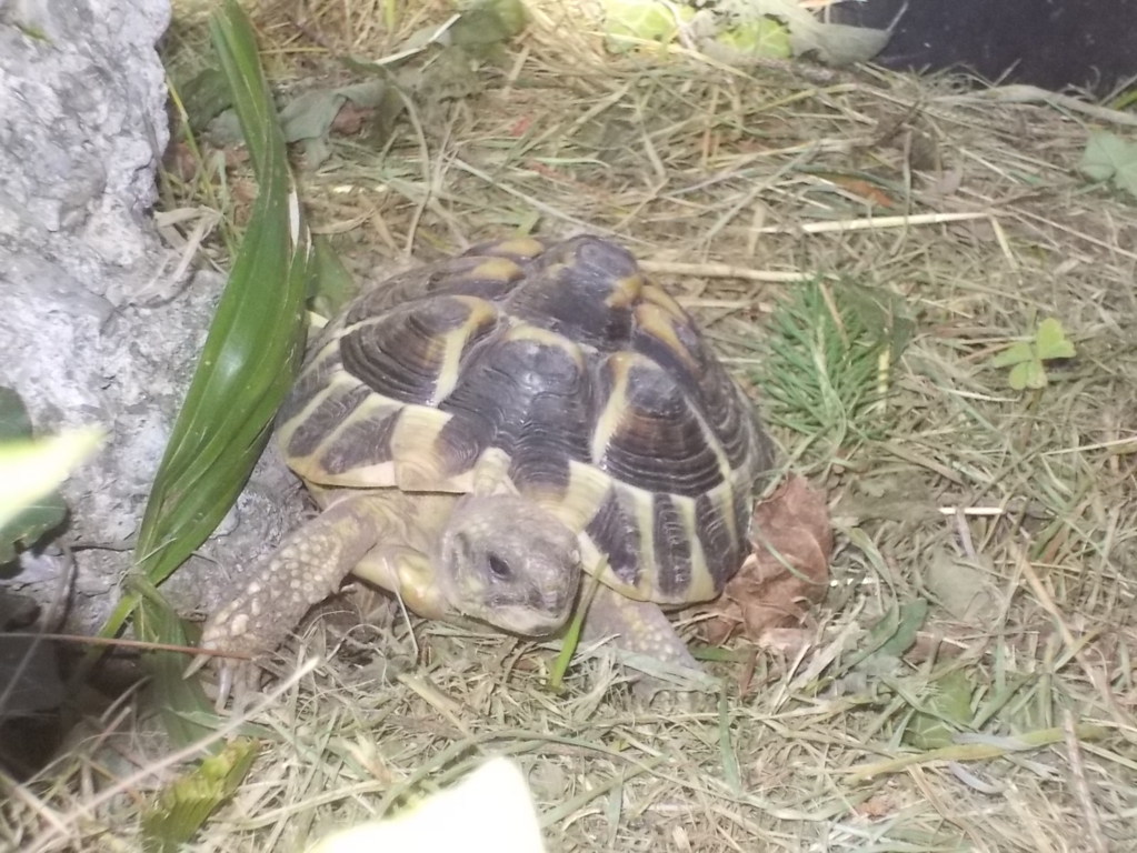 DSCN3583 (FILEminimizer)